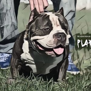 Meet your Posher, Mic